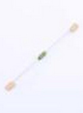 0251010.HAT1L 一次性保险丝 0251010.HAT1L 插件,D2.8xL7.1mm