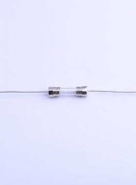 5T.2000242000R1D(8) 一次性保险丝 玻璃管保险丝 插件,5.6x21mm