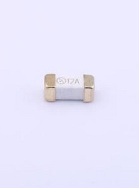 SST2120 一次性保险丝 12A 300V 慢断 SMD