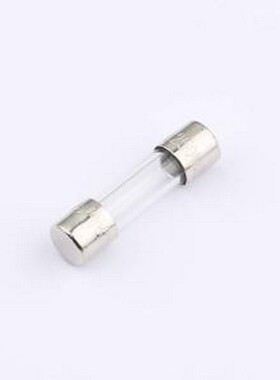 0034.3120 一次性保险丝 250V -