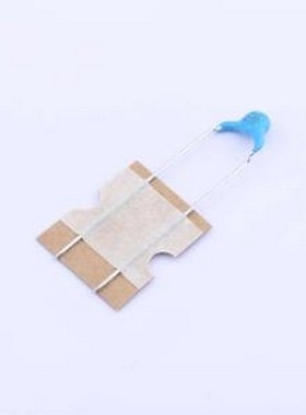 DE2B3SA101KN3AT02F 安规电容 等级:X1,Y2 100pF ±10% 250V 插件