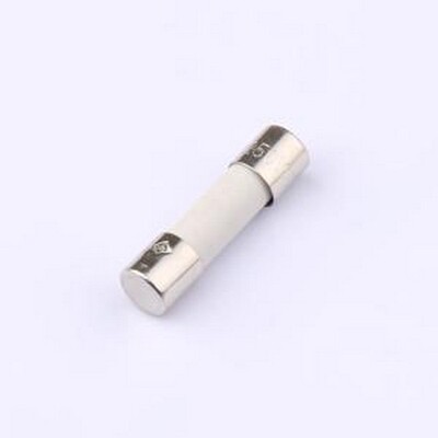 0215020.MXP 一次性保险丝 250V -