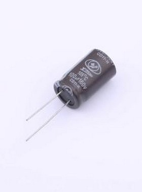 ECH2CM101K21OTZO 直插铝电解电容 100uF ±20% 160V 插件,D13xL2
