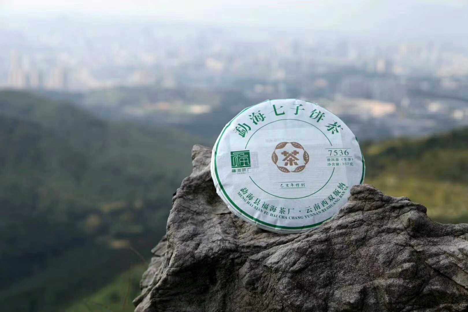 云南普洱茶 2019年特制 福海茶厂 7536 经典产品 357克生茶饼