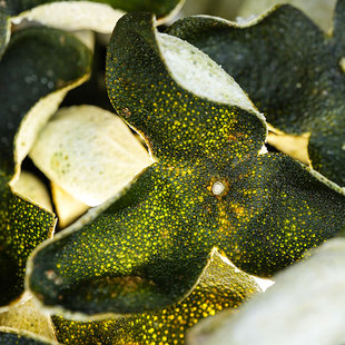 【老皮的茶】2025年梅江圈枝青皮铁箱装丨新会陈皮