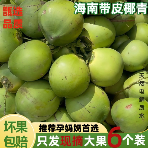 海南新鲜椰子椰青文昌椰青带皮椰子蛋孕妇补羊水专用5-8斤果现摘