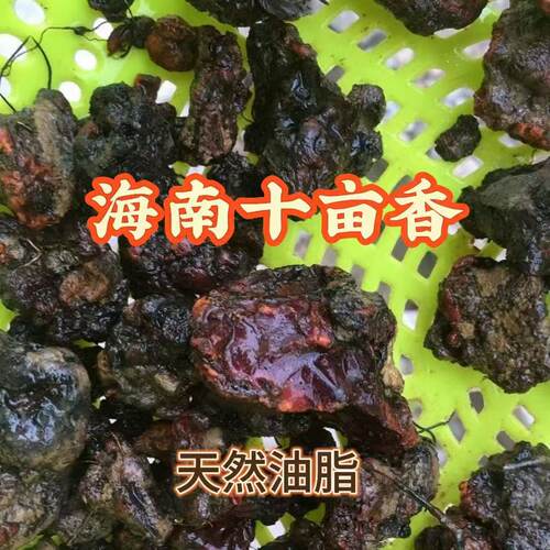 海南降真香如兰似十亩油脂天然