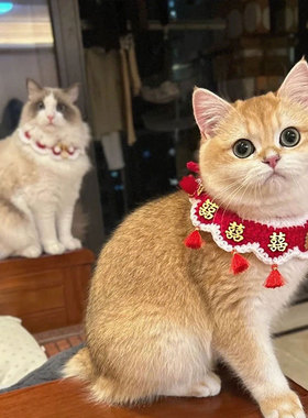 猫咪狗狗喜字围兜项圈针织口水巾结婚围脖装饰品宠物婚礼陪嫁装扮