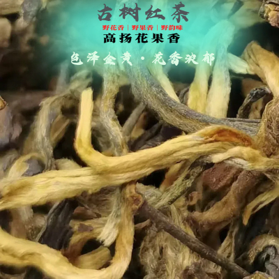 云南古树红茶话蜜香浓