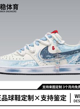 定制球鞋 Nike Court Vision 1云顶天宫 小众 低帮板鞋男款天蓝色