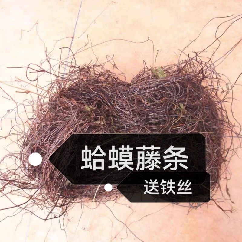 手工制作材料鸟窝蛤蟆藤装饰图片