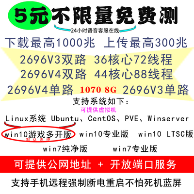 远程电脑出租单双路E5服务器租赁2680 2696V4游戏模拟器多开1070