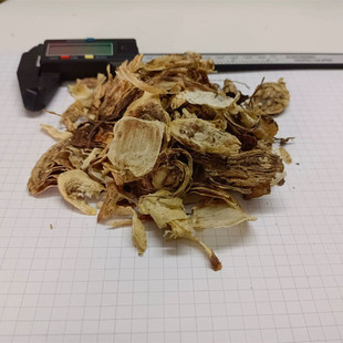 石蒜老鸦蒜蒜头草500g包邮乌蒜龙爪花蟑螂花蒜一枝箭