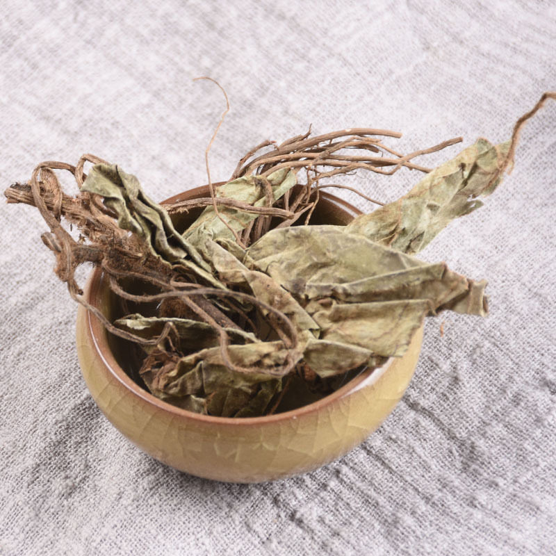 包邮杏香兔耳风金边兔耳一支香500克g大血筋草心肺草