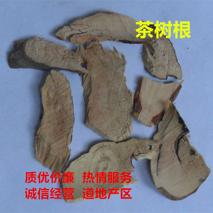 茶树老茶树根500克g包邮山茶树根