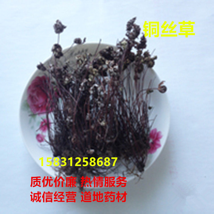 铜丝草500克g包邮岩飞草通经草通筋草银粉背蕨铁骨新草