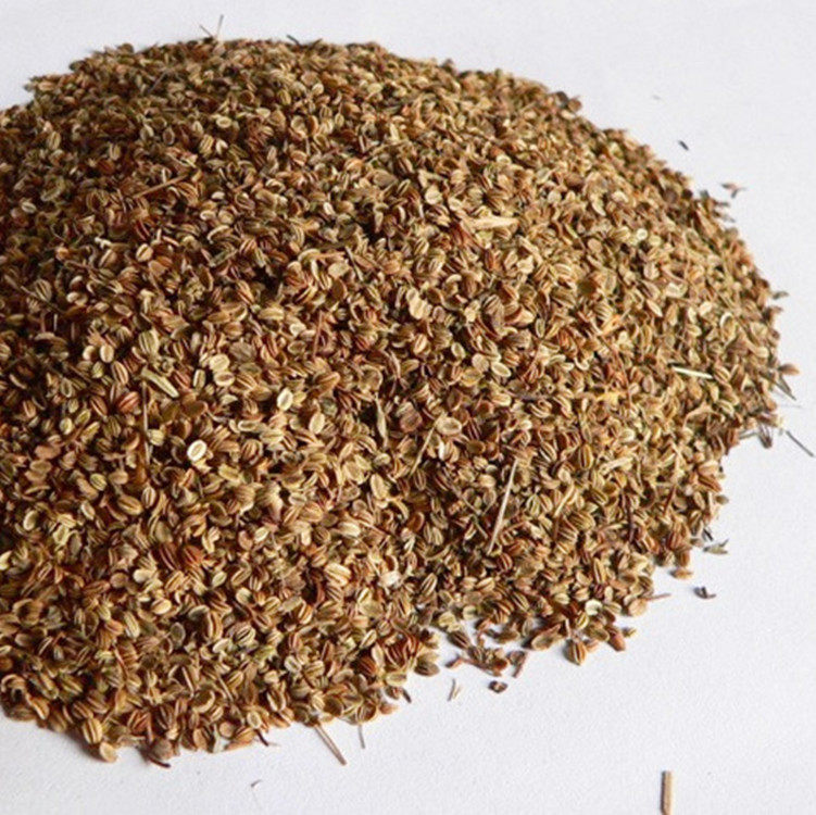 蛇床子蛇米蛇珠包邮粉五倍子