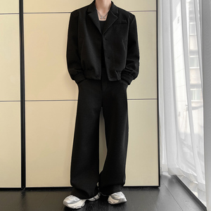 2024冬季网红短款垫肩套装西装领两件套男MT10-P165 加绒P175,男装西服套装,星座1104（原A460）