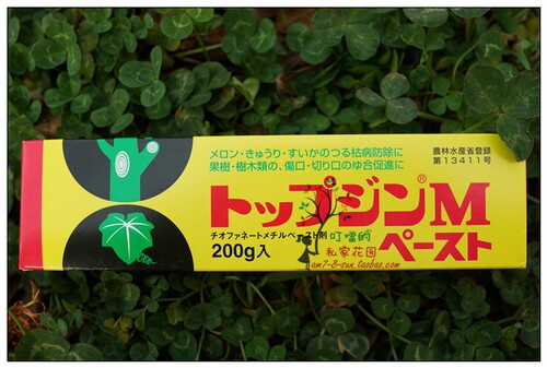 日本原装进口曹达NISSO嫁接 盆景用 植物伤口愈合剂 伤口胶保护胶