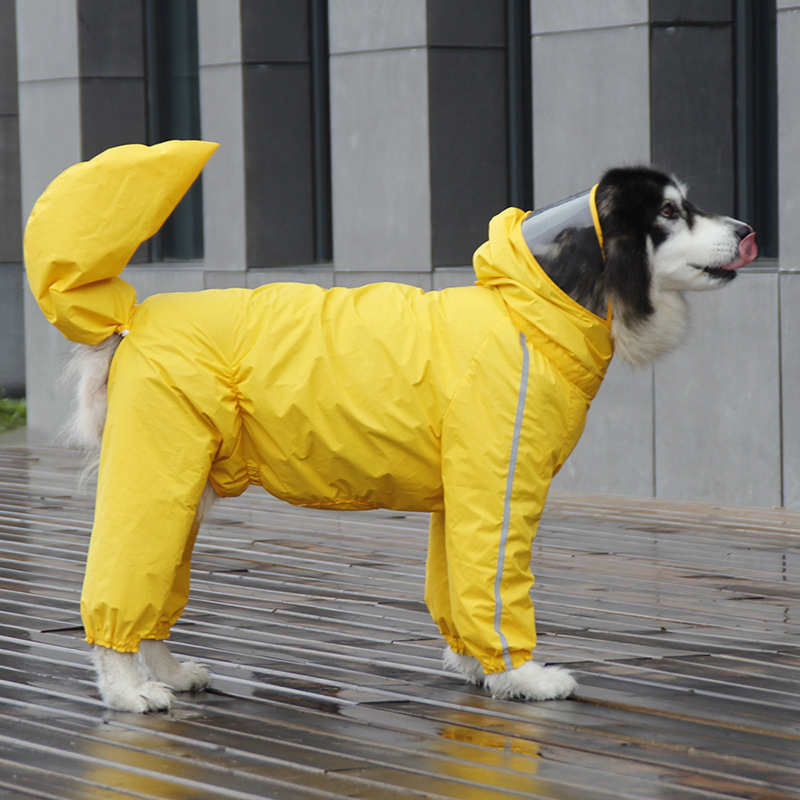 Full package four legged large dog raincoat, gold haired La 宠物/宠物食品及用品 狗宠物服装/雨衣 原图主图