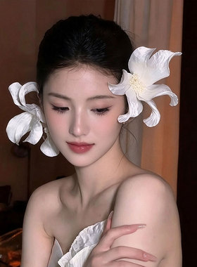 法式复古仿真花网纱新娘头饰