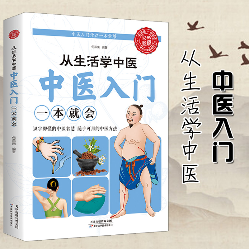 中医基础理论书籍大全入门