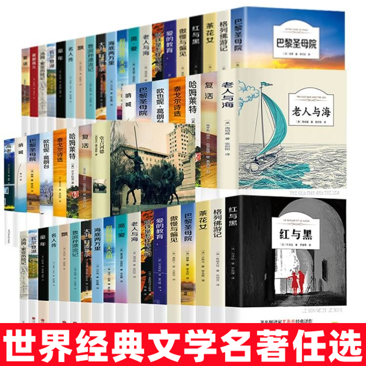 正版傲慢与偏见柳林风声小王子巴黎圣母