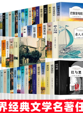 正版傲慢与偏见柳林风声小王子巴黎圣母老人与海昆虫记优价好书