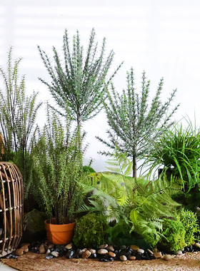 仿真植物迷迭香盆栽假绿植