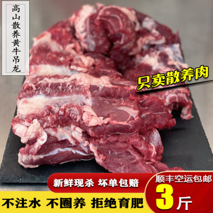 农家散养土黄牛吊龙肉 新鲜现切火锅烤肉食材原切无注水 3斤新鲜