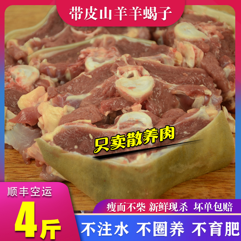农家散养带皮山羊肉蝎子新鲜现杀
