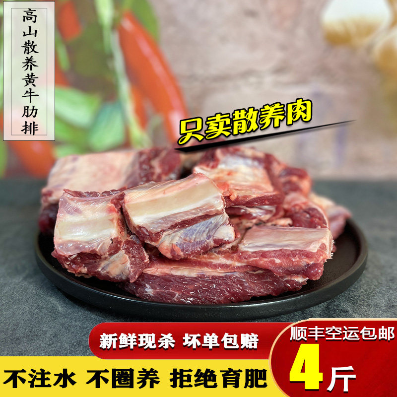 现杀黄牛排散养黄牛排 新鲜黄牛肋排 生牛排骨2000G 顺丰航空包邮