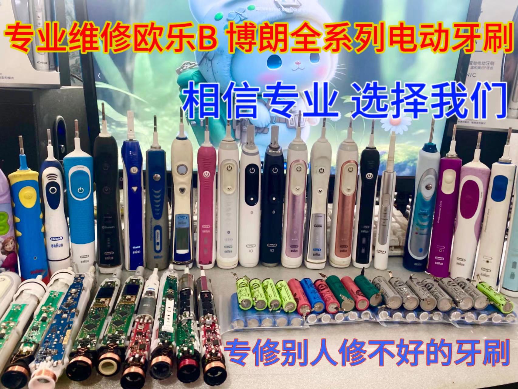 欧乐B旋转成人维修售后配件