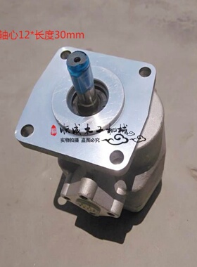 木工液压式冷压机配件油泵HGP-2AF12RGPY-F12R50吨机械接木对接机