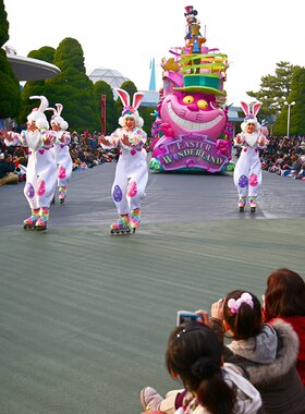 来图定制恒宇服饰兔子服装