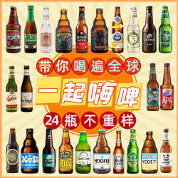 全球精酿啤酒组合比利时啤酒白熊罗斯福330ml精选世涛黑啤IPA整箱