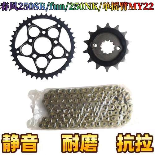 春风CF250套链油封链条