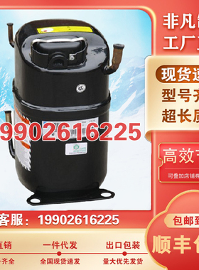 CAJ2446Z CAJ2464Z TAJ2464Z全新原装法国进口泰康冷柜试验压缩机