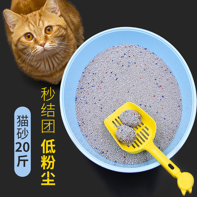 膨润土恒杰除臭10kg猫砂