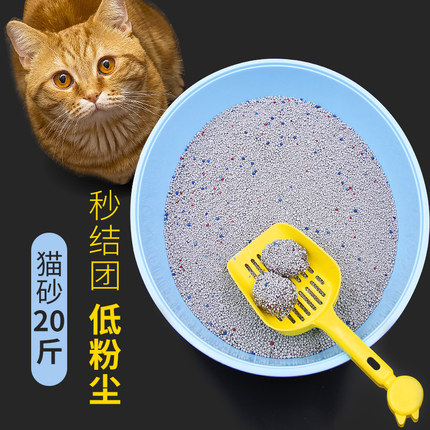恒杰猫砂包邮10公斤除臭结团猫沙膨润土低尘20斤10kg猫咪用品10斤