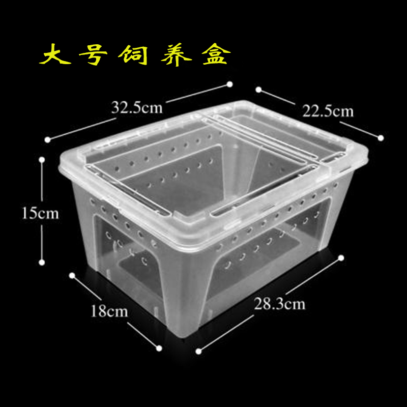 宠物饲养盒蜗牛养殖盒龟蜥蜴蝎子爬虫盒子专用饲养盒豪华房子家屋 - 实物图