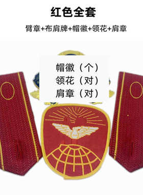 乐队服装配料布肩牌帽徽领花肩章蓝色臂章红色袖章胸花胸针胸标