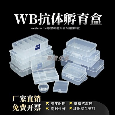 wb抗体孵育多规格实验小盒化湿盒