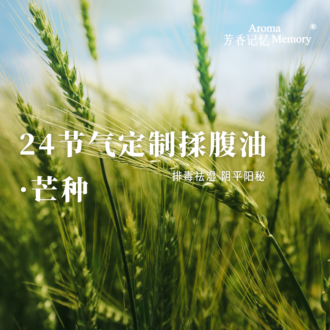 AromaMemory 芳香记忆 | 欢迎进群~ 24节气揉腹油 打造气血美人