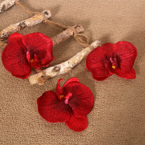 节庆小礼物闺蜜蝴蝶兰花女友