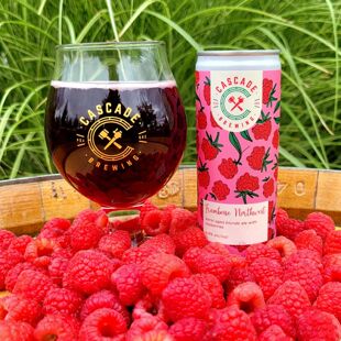 酸厂|美国 卡斯卡特 酸甜之旅/ 疯狂丽塔/浅色浪漫 酸啤