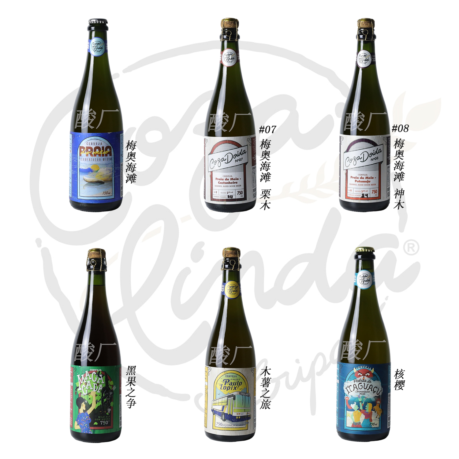 酸厂|巴西 运术 新款 核樱/黑果之争/梅奥海滩 野菌艾尔 精酿啤酒