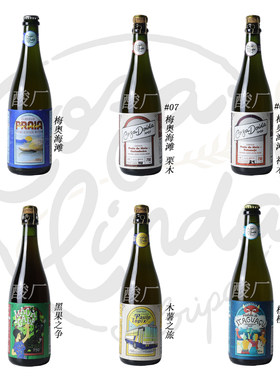 巴西精酿啤酒野菌艾尔