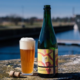 酸厂|丹麦 洞藏 库维混酿/沐浴杏园杏子味 野菌艾尔 精酿啤酒