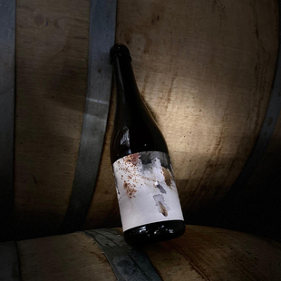 酸厂|马波隆 白葡/红葡/石葡/顶藏塞松/无花塞松 塞松 精酿啤酒